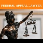 Exploring the Courts of Appeal
